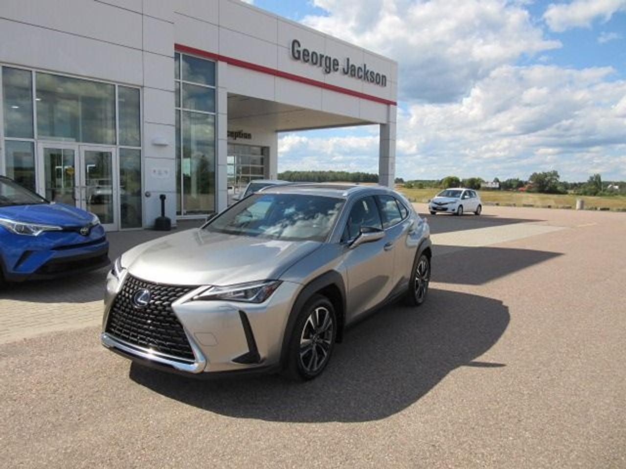 2021 Lexus UX UX 250H