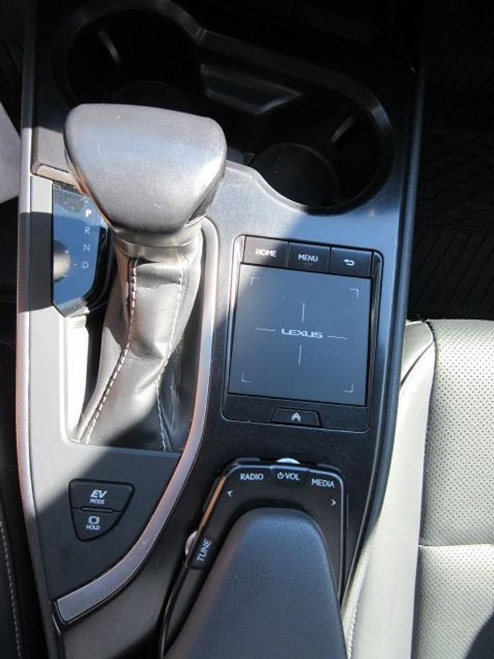 2021 Lexus UX UX 250H Photo