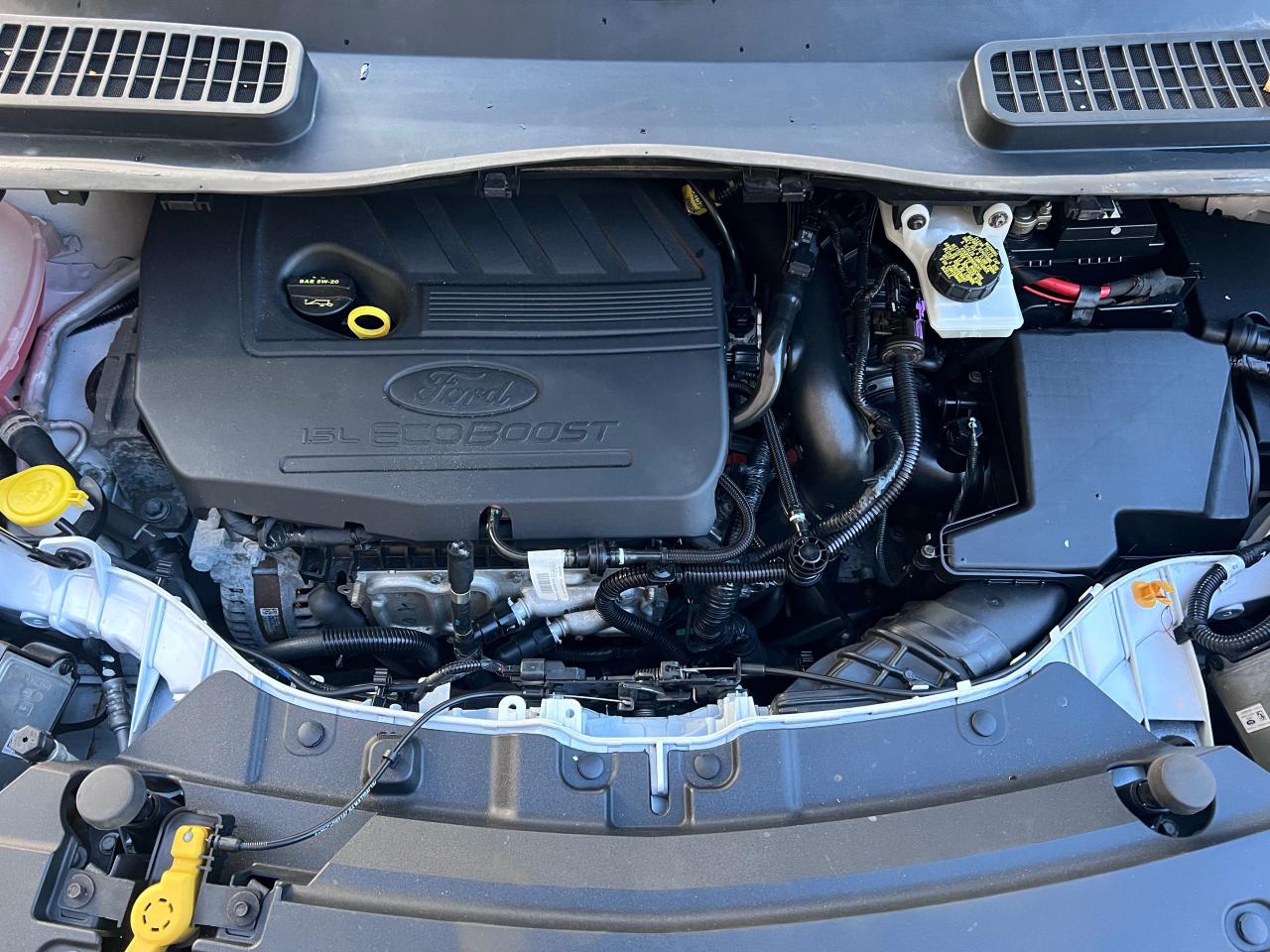 2017 Ford Escape SE - Photo #18
