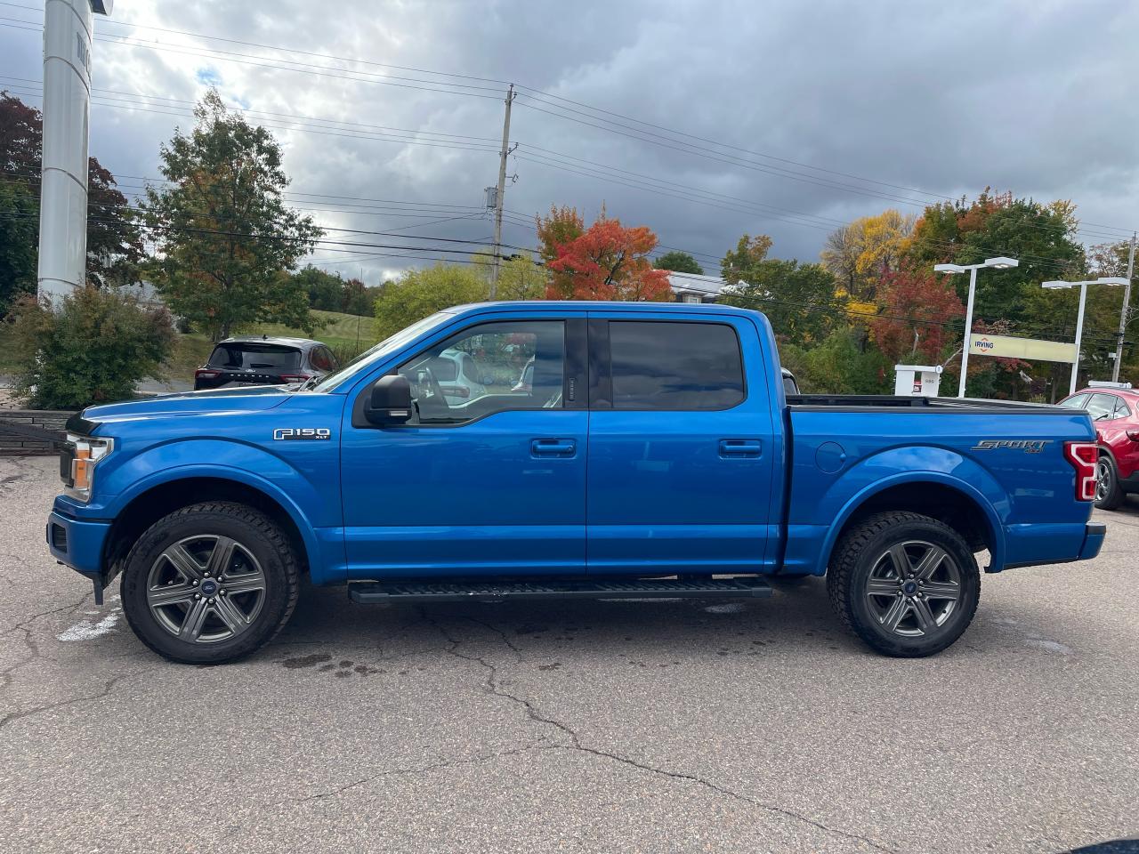 2020 Ford F-150 XLT Photo5