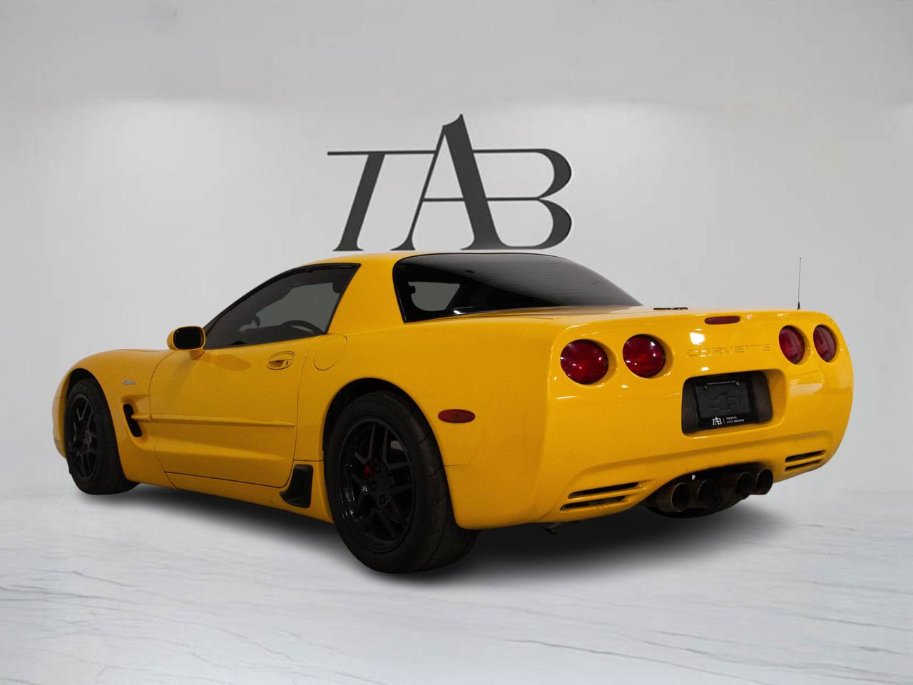 2001 Chevrolet Corvette Z06 | COUPE | MANUAL | TWIN TURBO | CAR COVER Photo