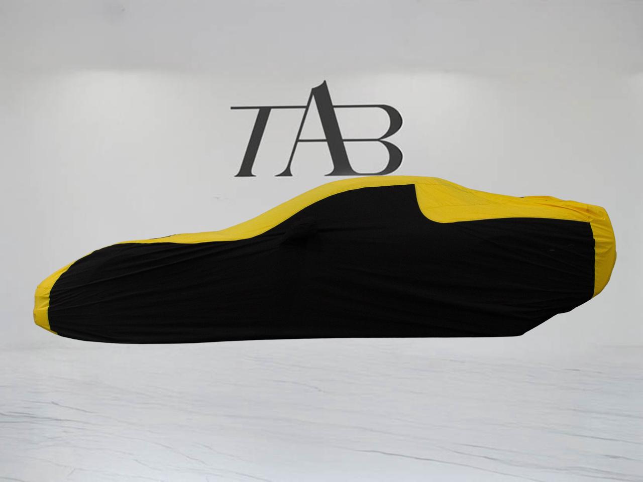2001 Chevrolet Corvette Z06 | COUPE | MANUAL | TWIN TURBO | CAR COVER Photo