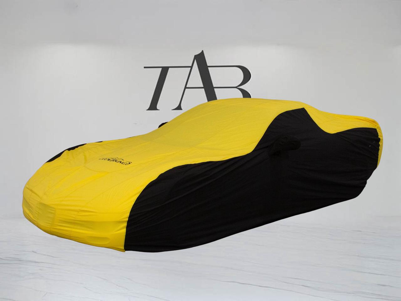 2001 Chevrolet Corvette Z06 | COUPE | MANUAL | TWIN TURBO | CAR COVER Photo