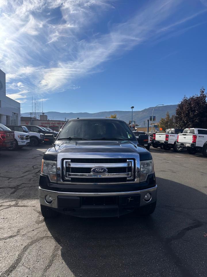 2014 Ford F-150 XLT Photo5