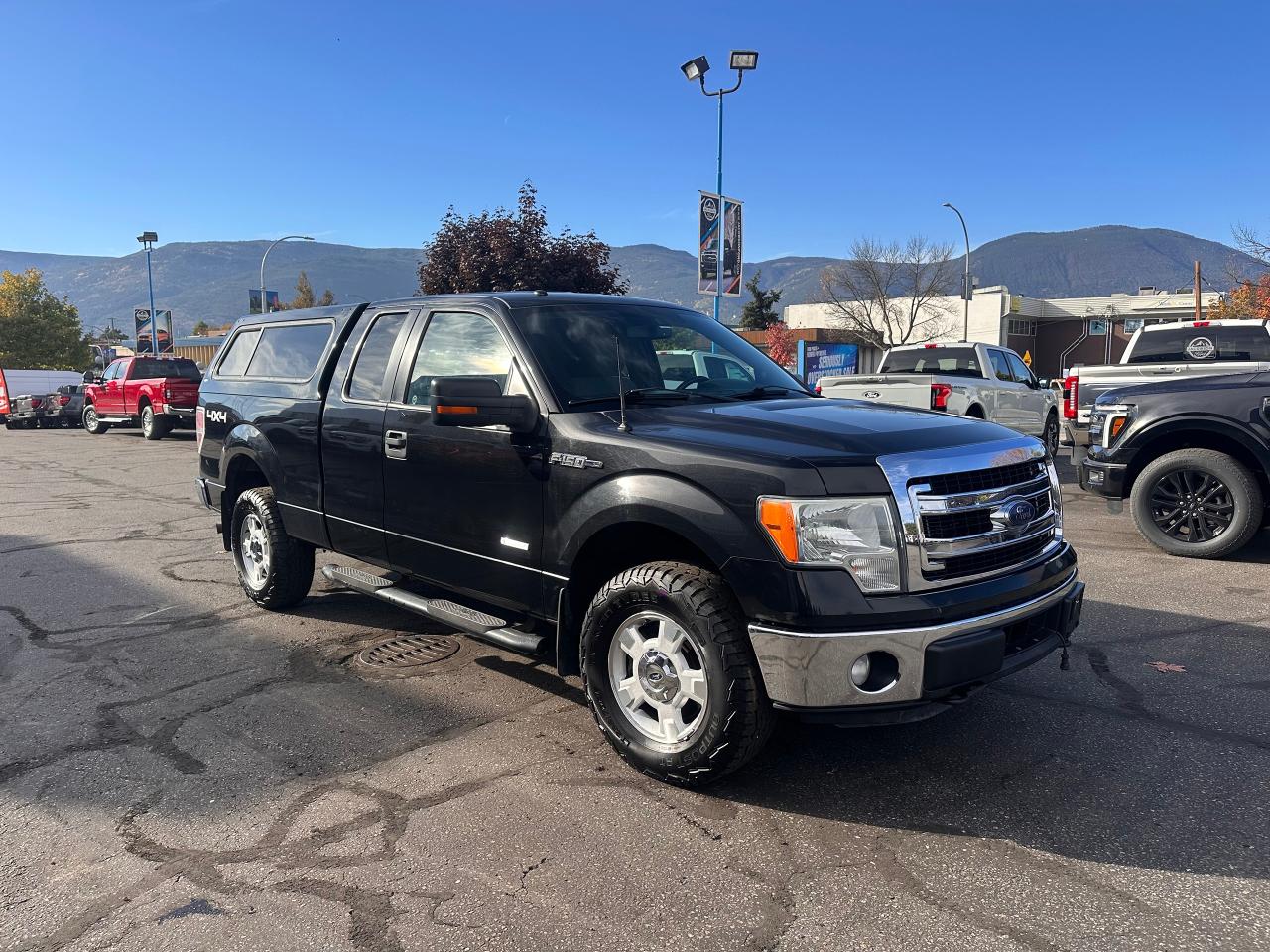 2014 Ford F-150 XLT Photo5