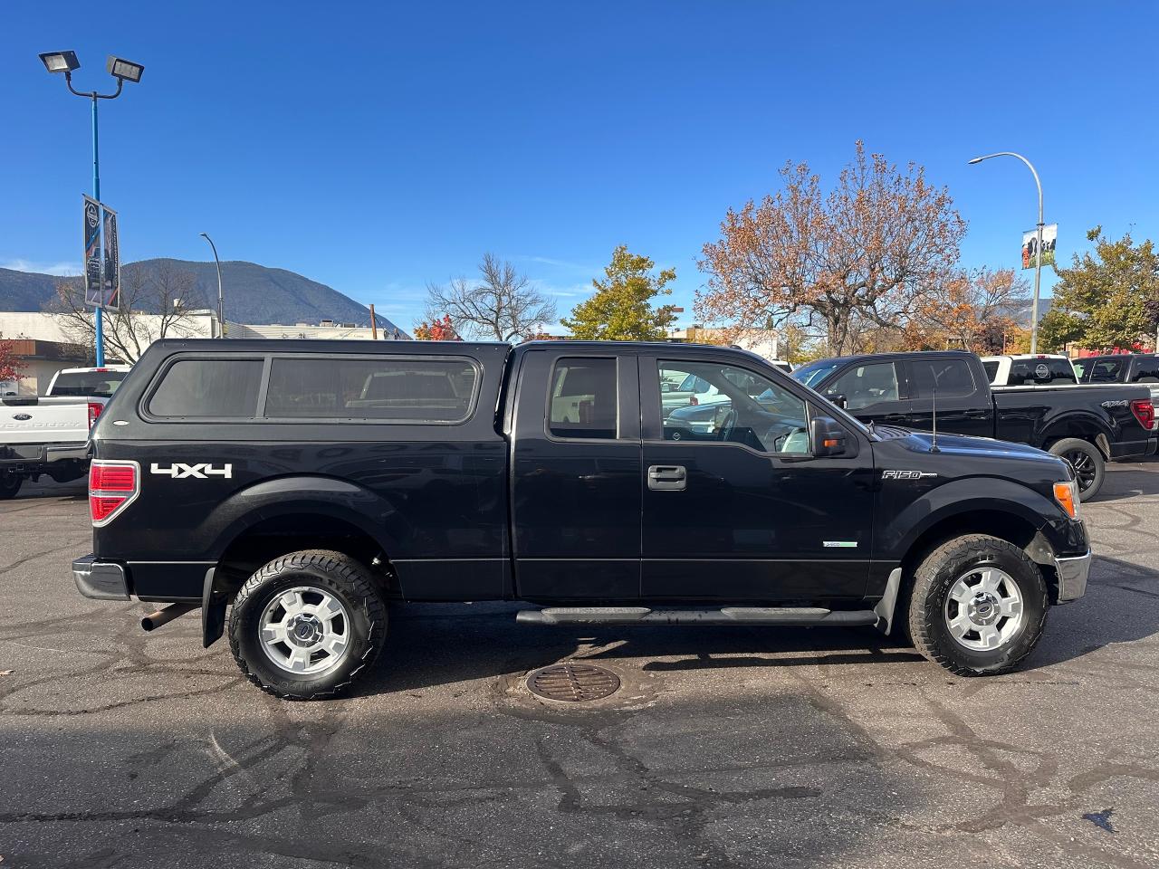 2014 Ford F-150 XLT Photo5