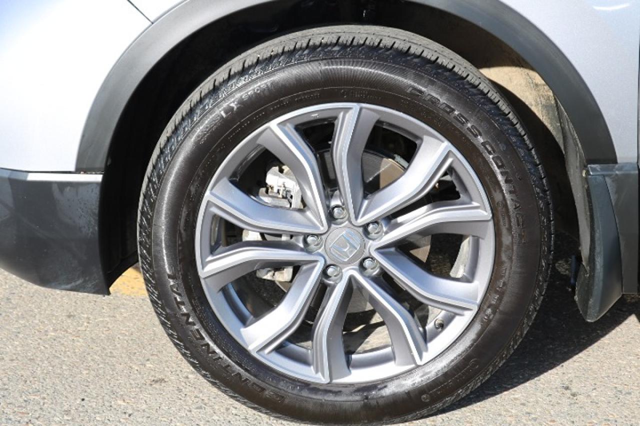 2021 Honda CR-V  Photo