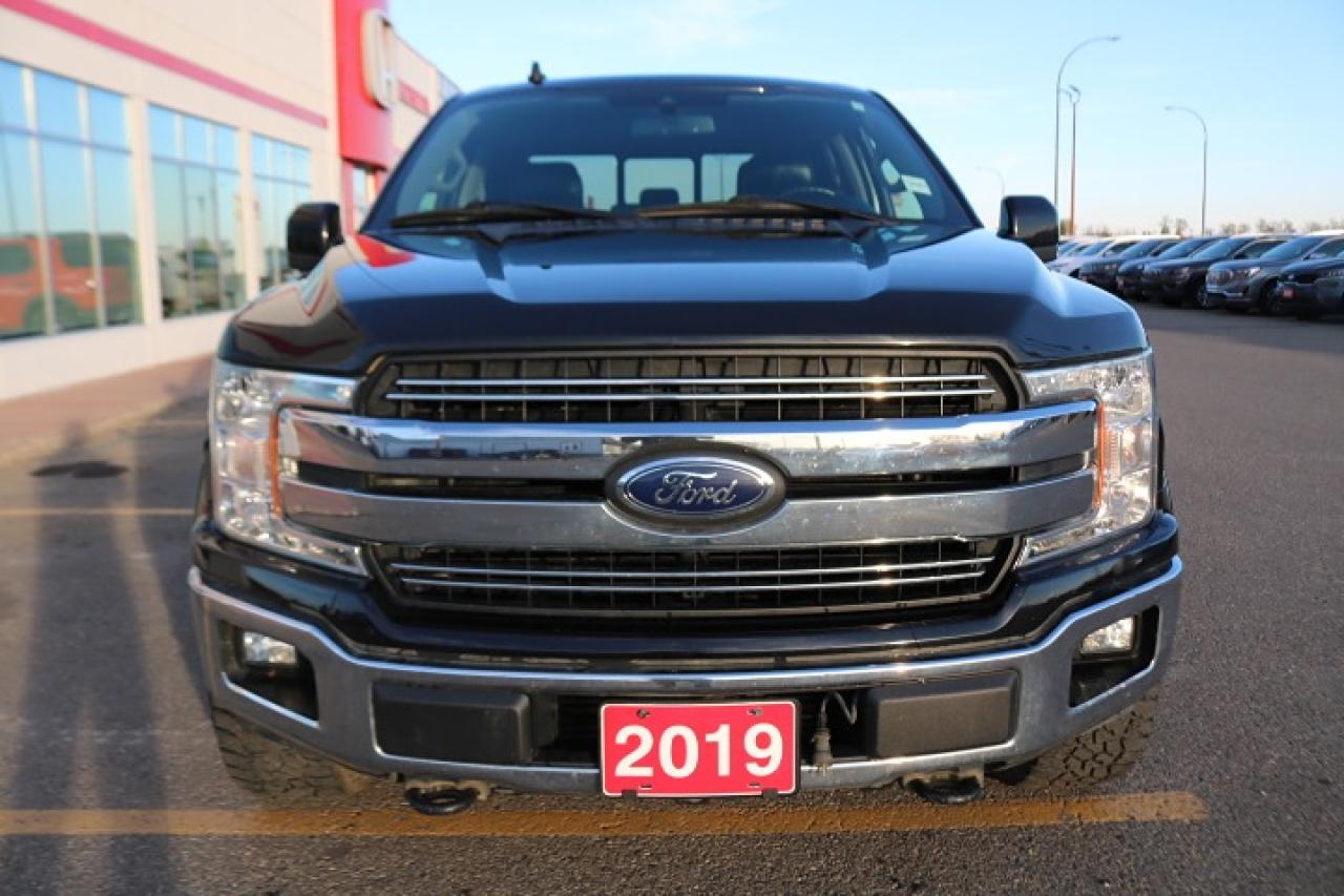 2019 Ford F-150  Photo