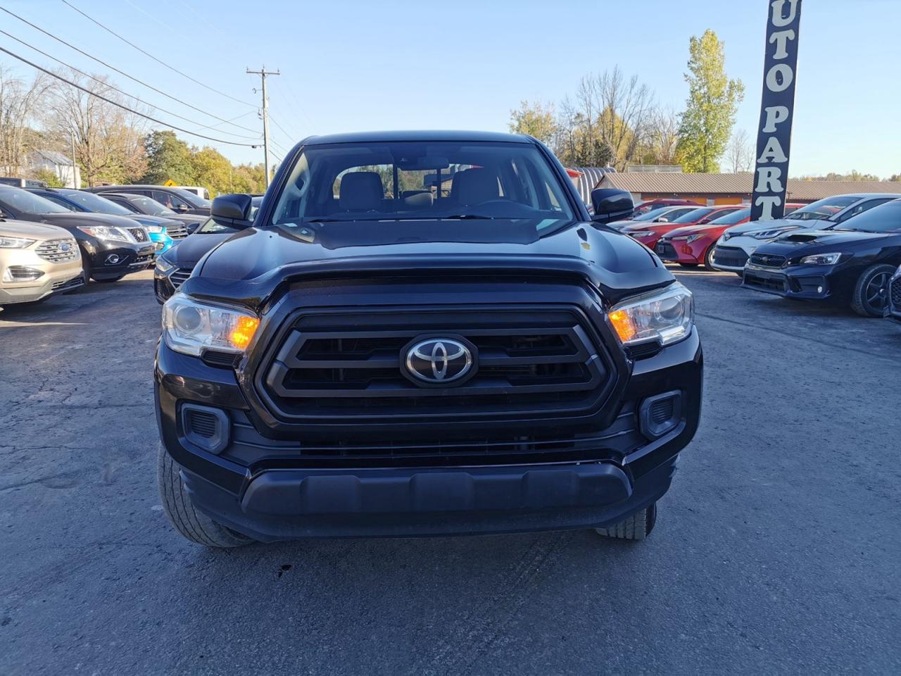 2020 Toyota Tacoma  - Photo #8