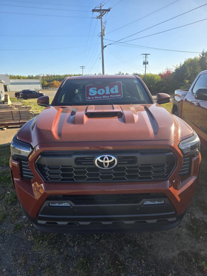 2025 Toyota Tacoma TRD Sport + Photo0