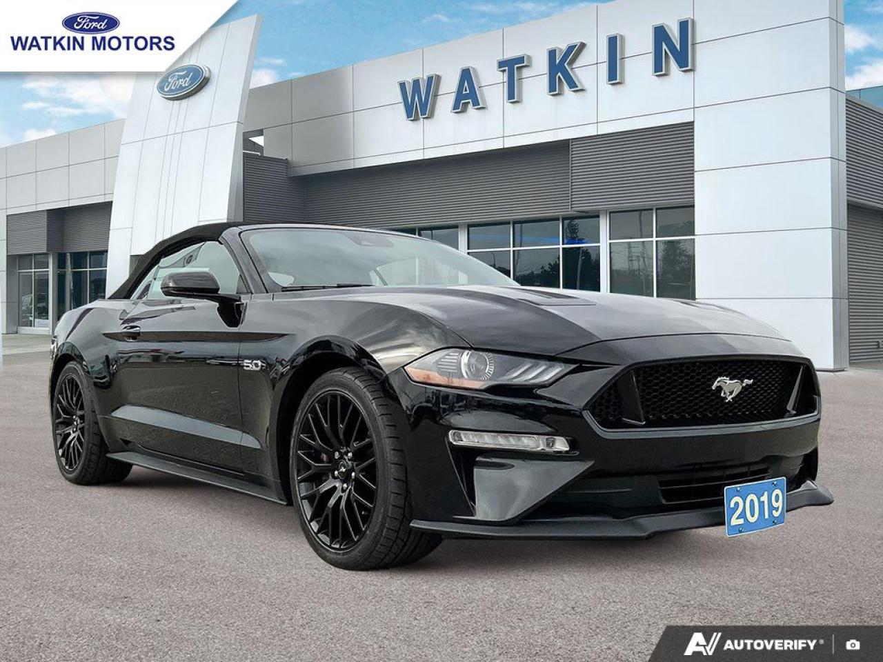 2019 Ford Mustang GT Convertible Premium Photo6