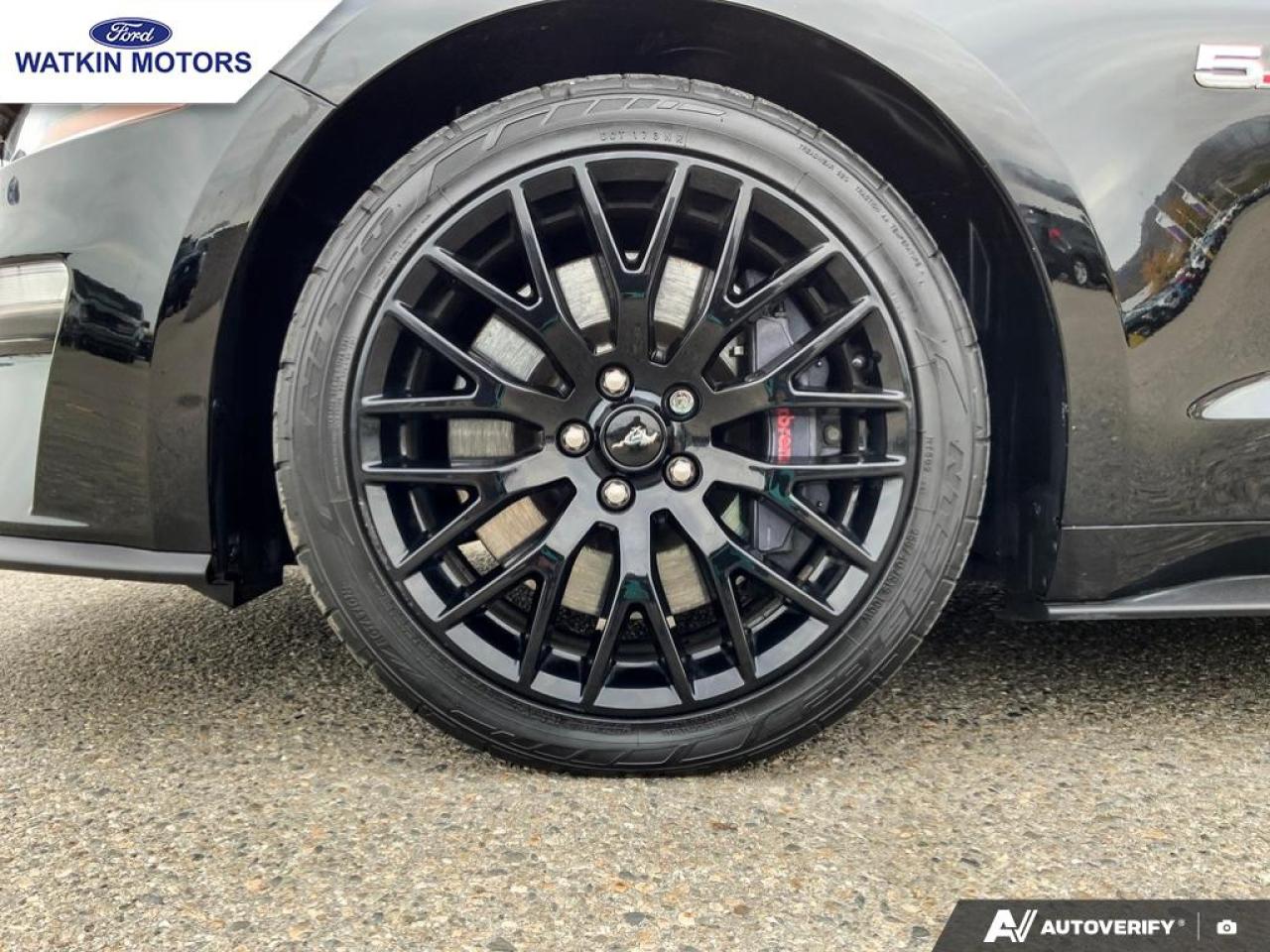 2019 Ford Mustang GT Convertible Premium Photo8