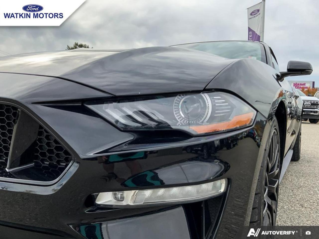 2019 Ford Mustang GT Convertible Premium Photo10