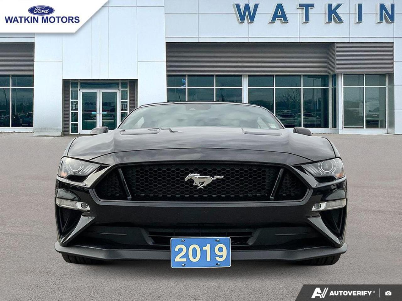 2019 Ford Mustang GT Convertible Premium Photo7