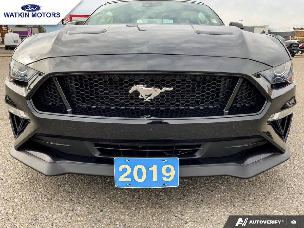 2019 Ford Mustang GT Convertible Premium Photo11