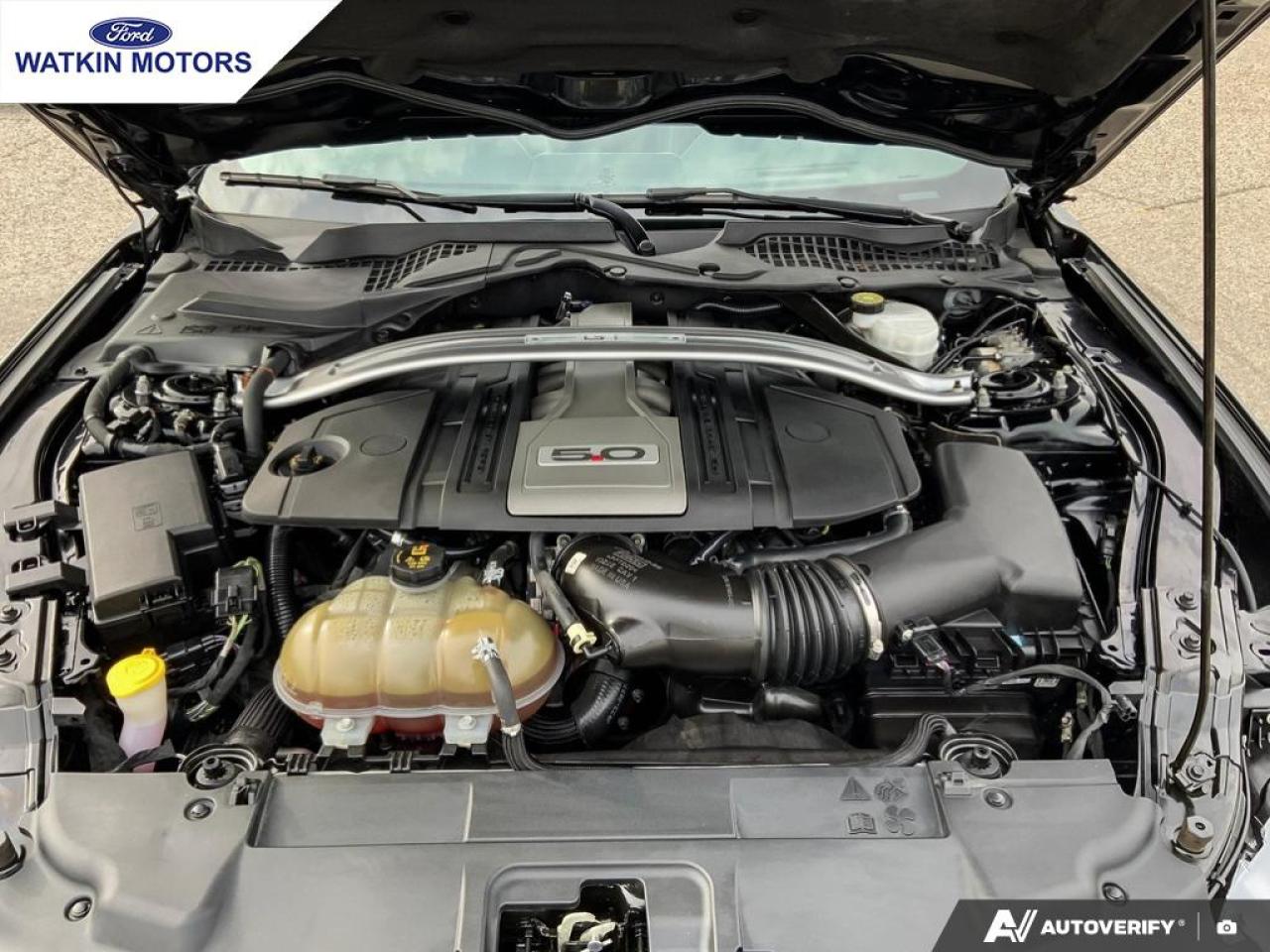 2019 Ford Mustang GT Convertible Premium Photo12