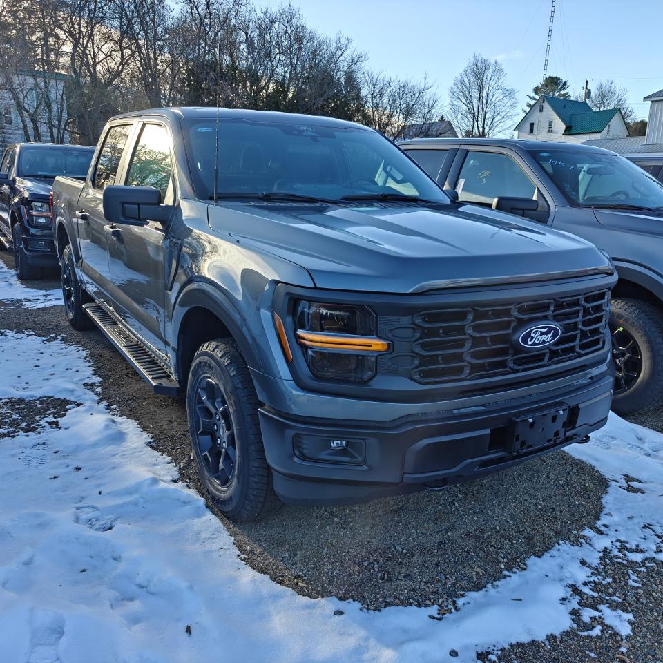 2025 Ford F-150 4X4 SUPERCREW STX 201A Photo3