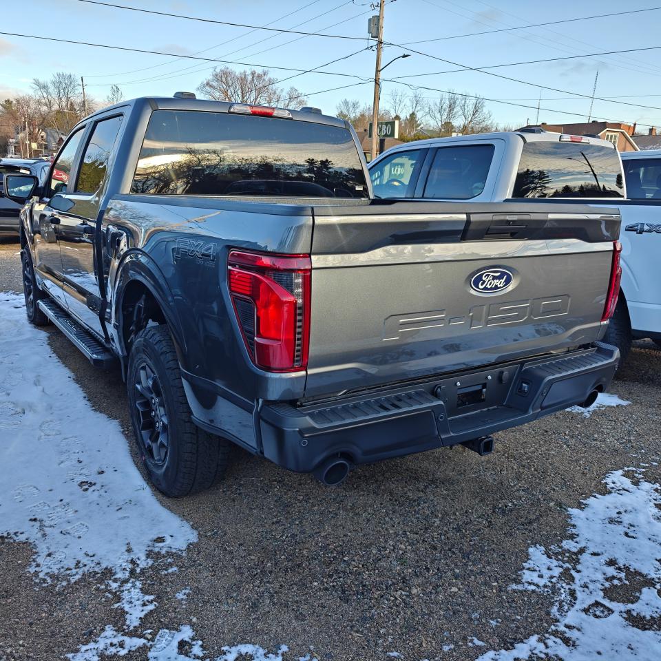 2025 Ford F-150 4X4 SUPERCREW STX 201A Photo