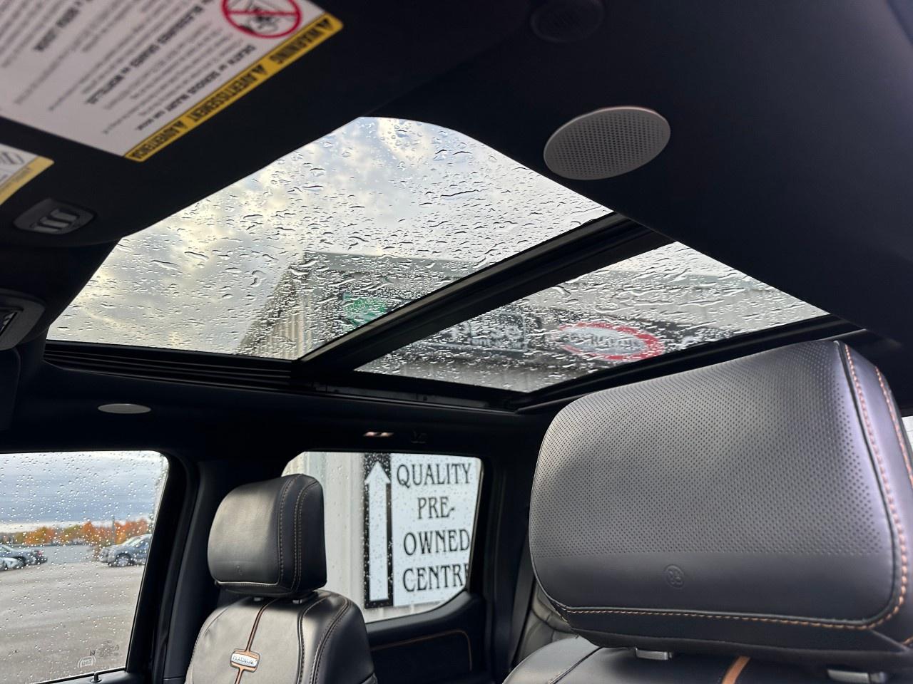 2023 Ford F-250 Super Duty SRW PLATINUM 4WD CREW CAB 6.75' BOX Photo