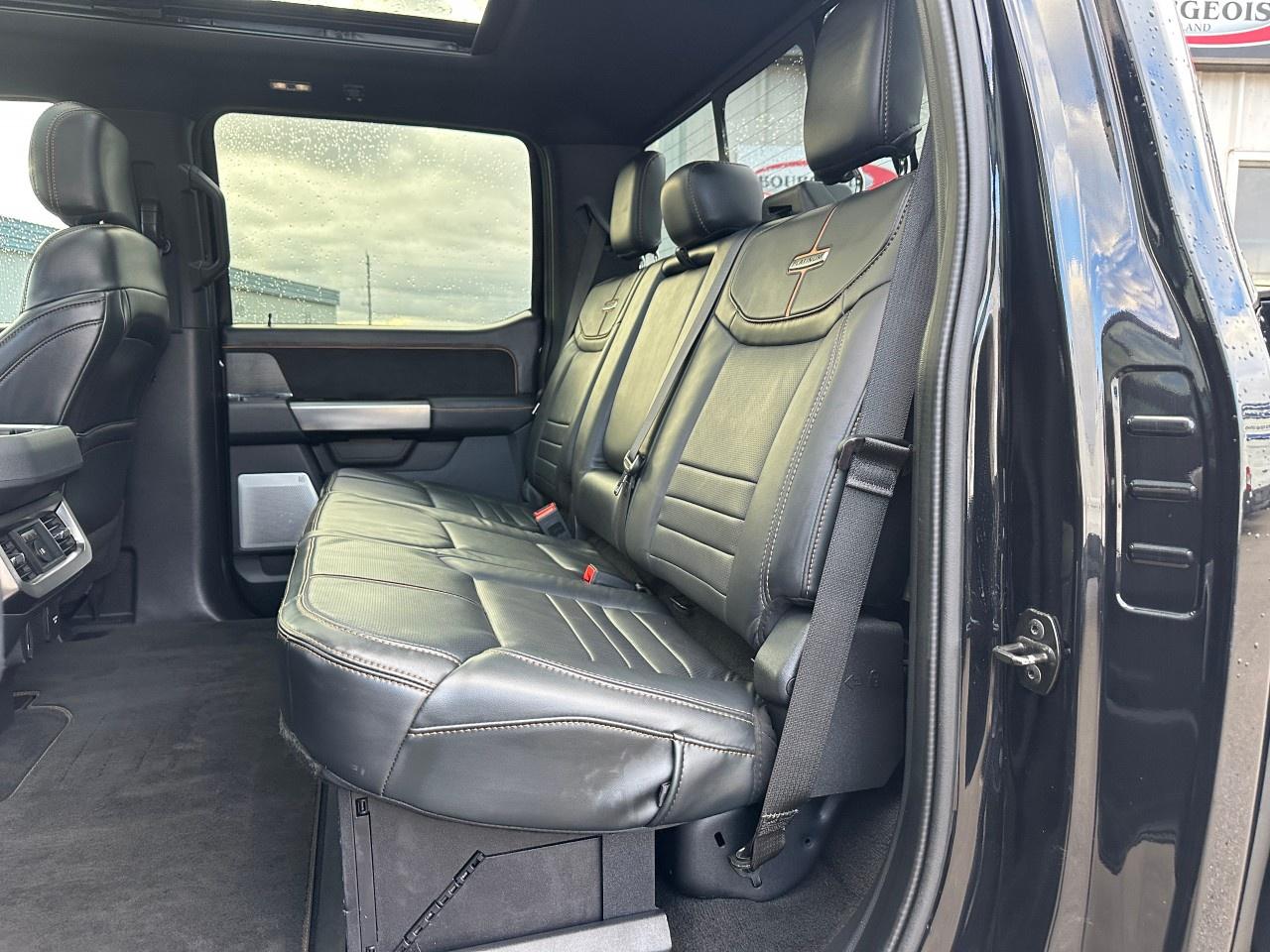 2023 Ford F-250 Super Duty SRW PLATINUM 4WD CREW CAB 6.75' BOX Photo