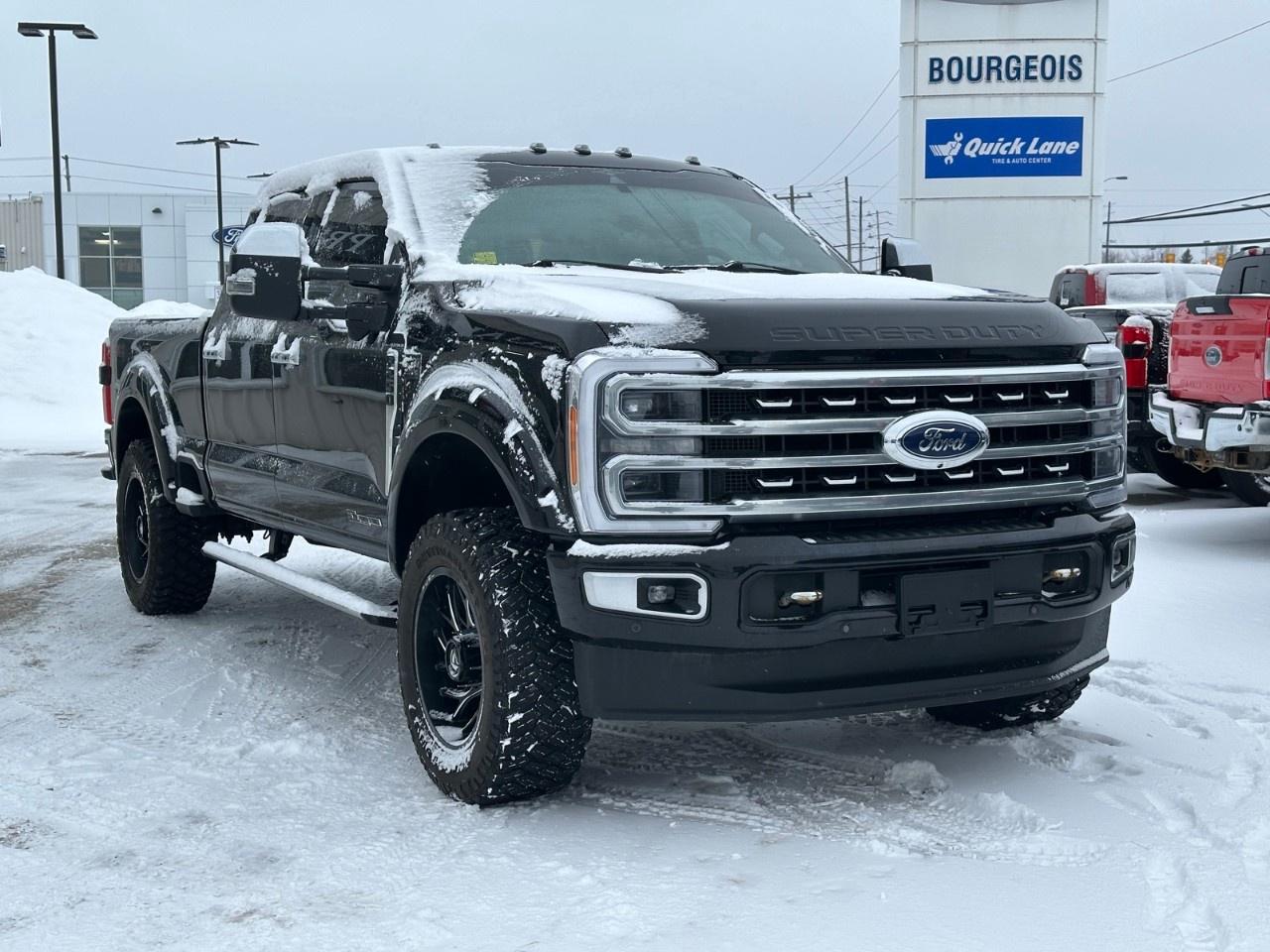 2023 Ford F-250 Super Duty SRW PLATINUM 4WD CREW CAB 6.75' BOX Photo