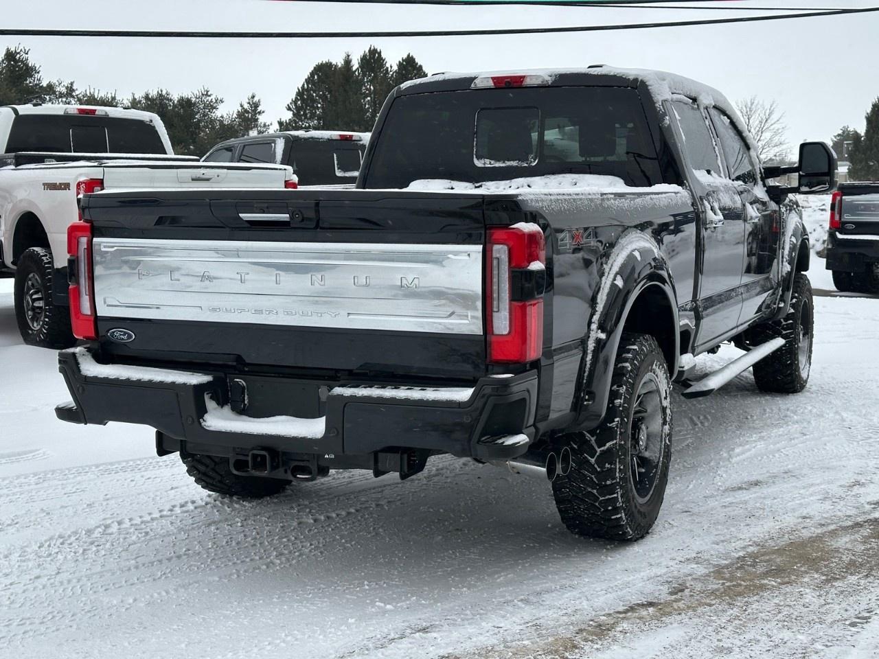 2023 Ford F-250 Super Duty SRW PLATINUM 4WD CREW CAB 6.75' BOX Photo