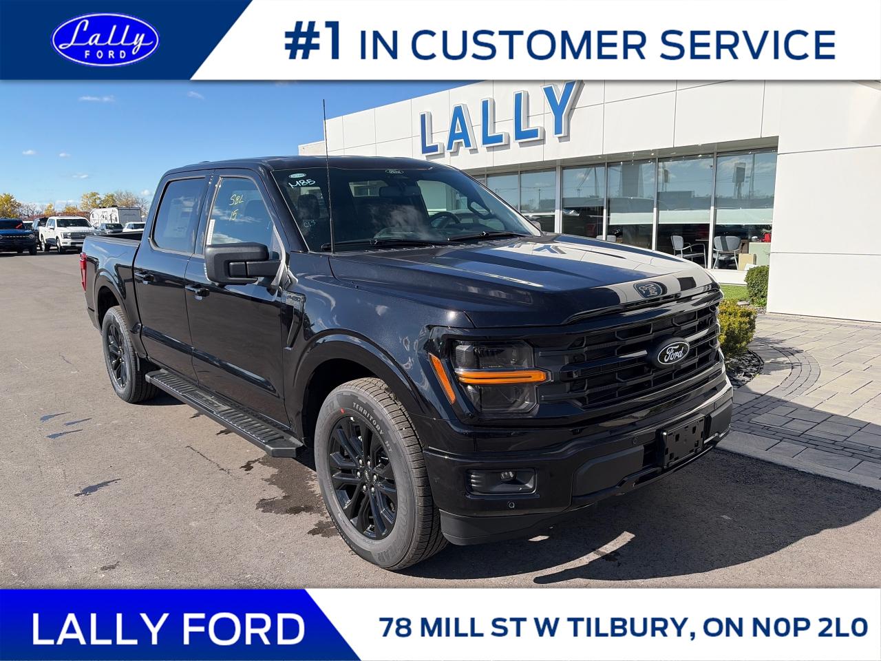 New 2025 Ford F-150 XLT for sale in Tilbury, ON