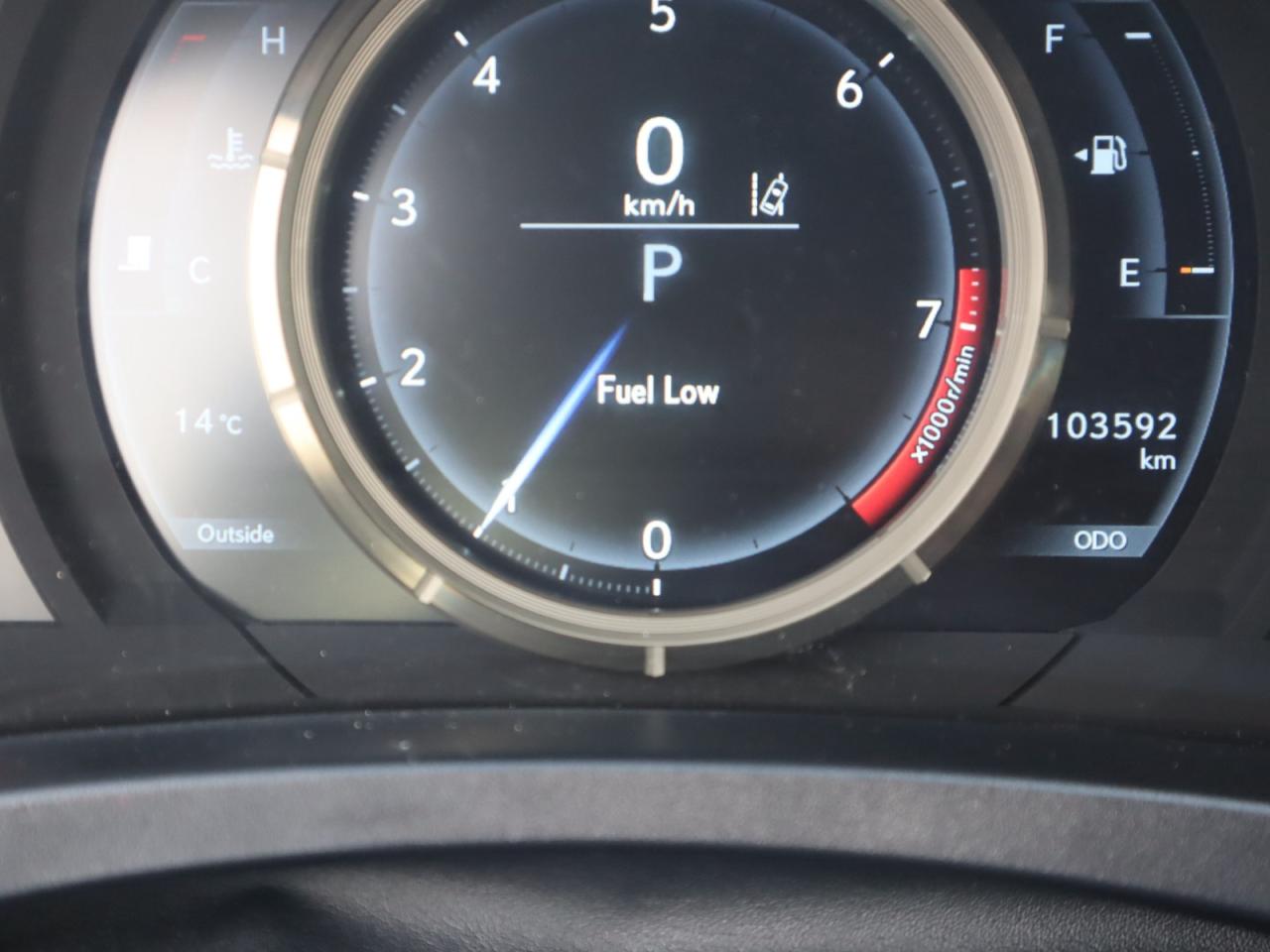 13024078
