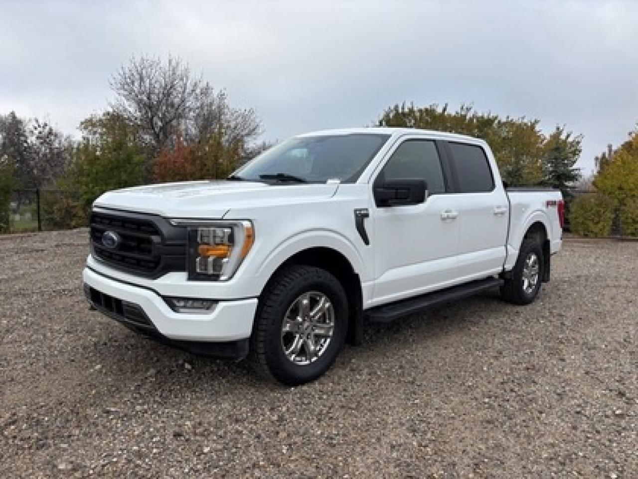 Used 2021 Ford F-150 302A | 5.0 V8 | FX4 | B&O SOUND | SPORT PKG for sale in Regina, SK