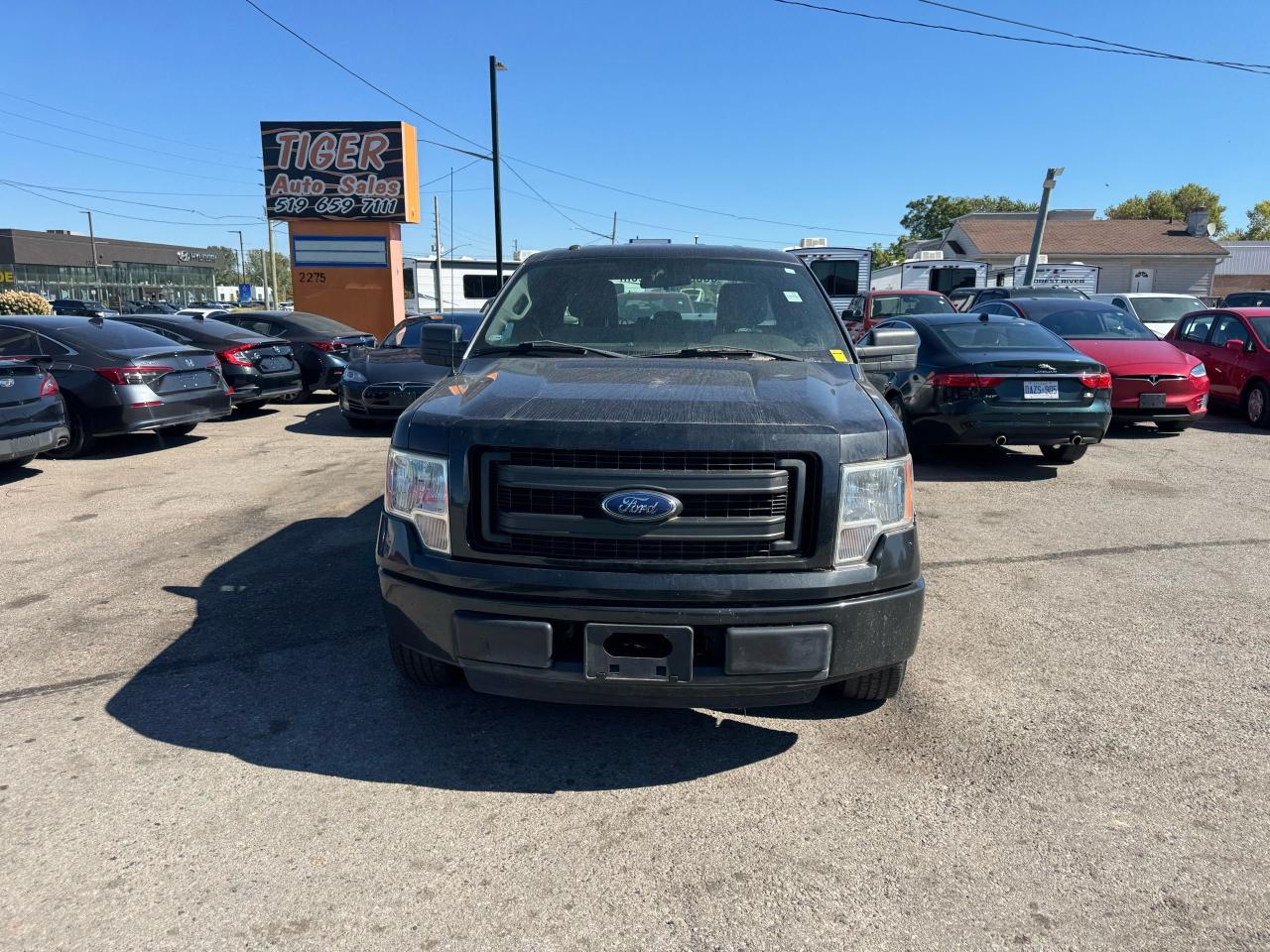 2014 Ford F-150 STX, RWD, CLEAN BODY, NON RUNNER, AS IS SPECIAL - Photo #8