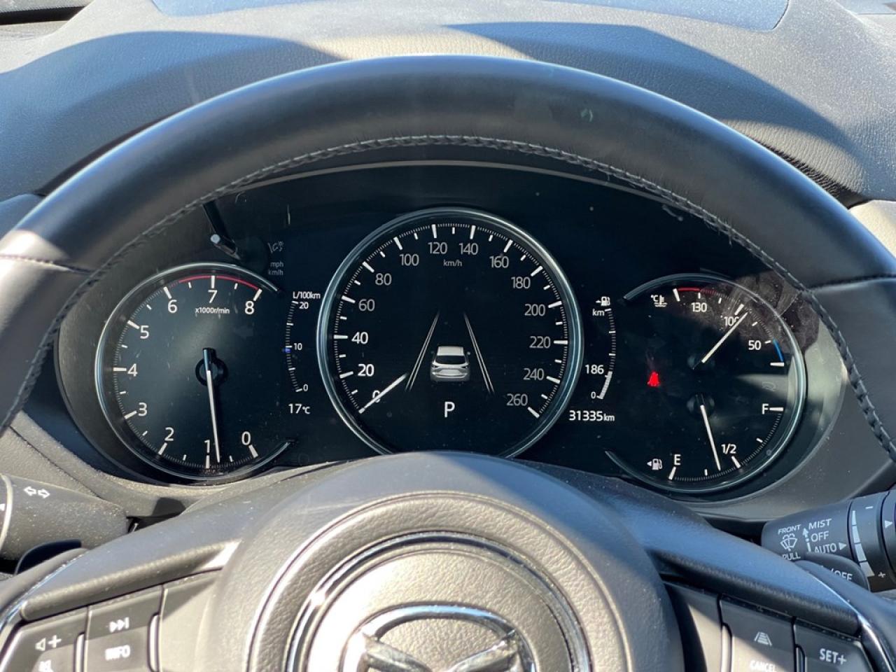 13025356