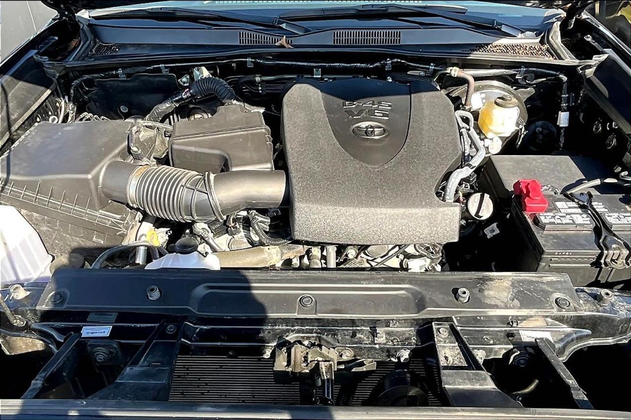 2023 Toyota Tacoma  Photo