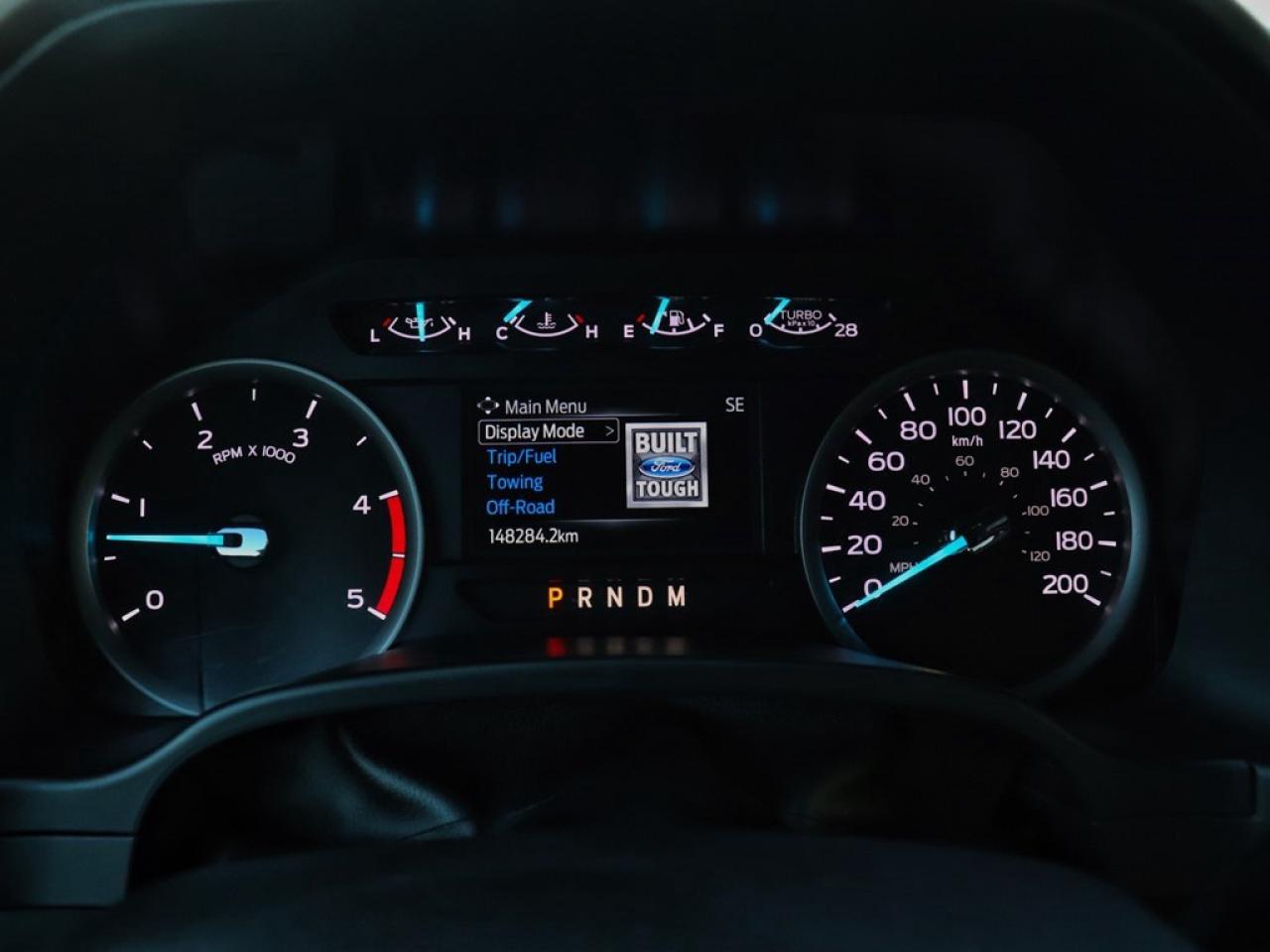13025734