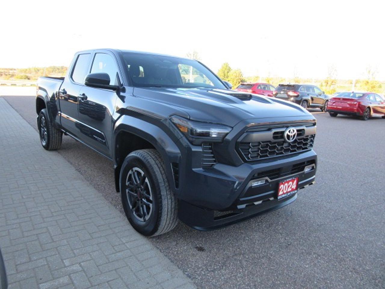2024 Toyota Tacoma BASE TRD Sport+ Photo