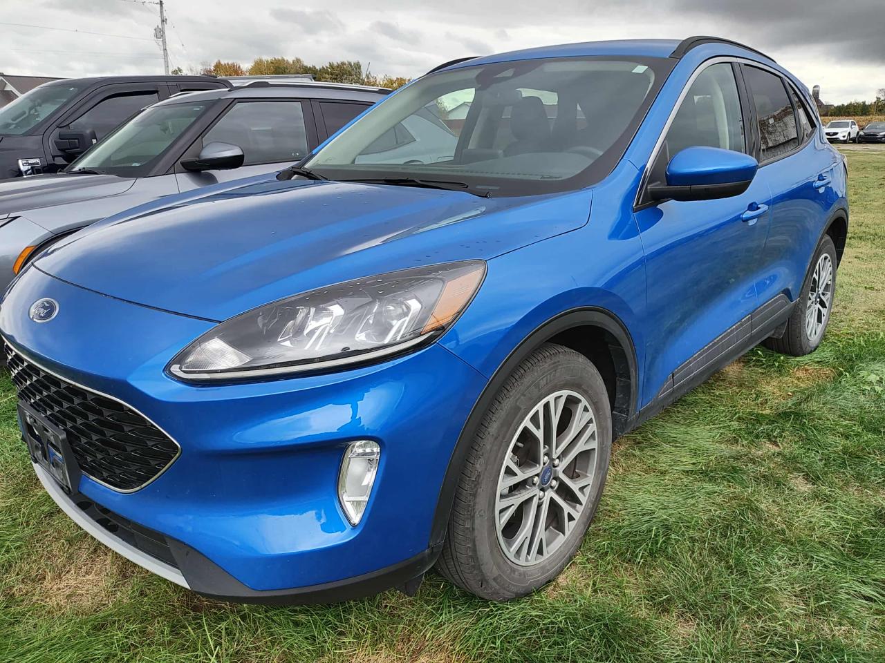 2020 Ford Escape SEL Photo0