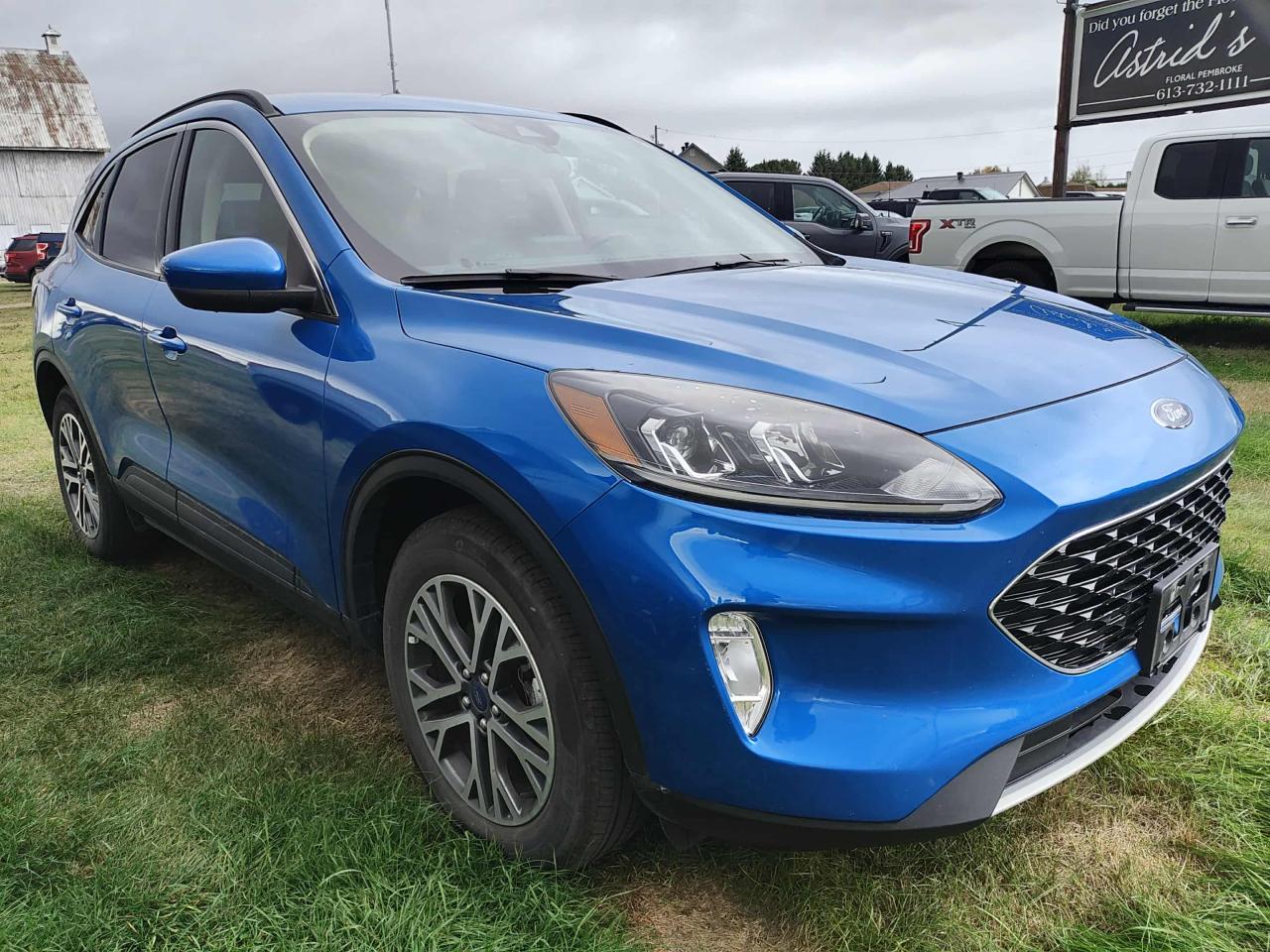 2020 Ford Escape SEL