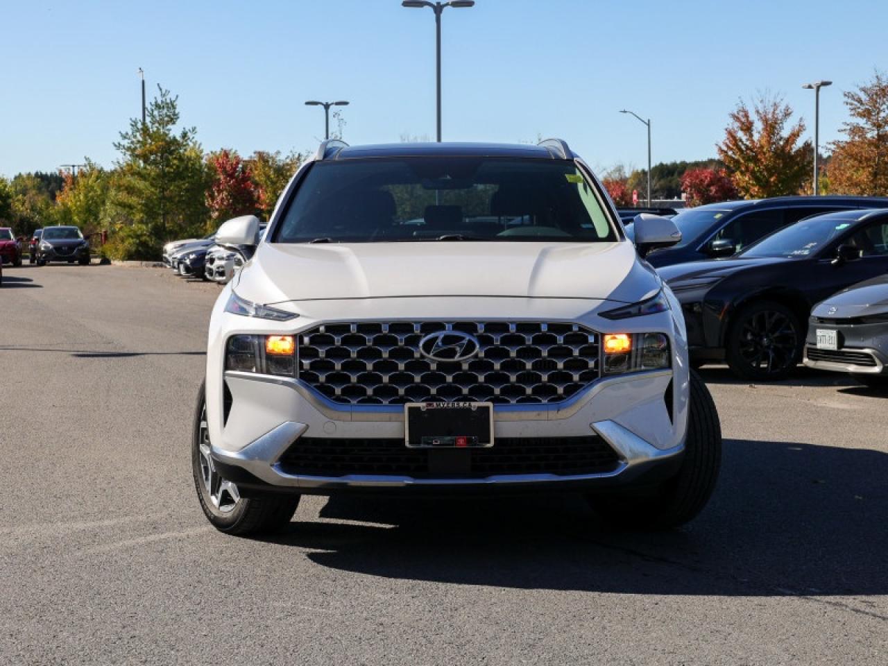 2021 Hyundai Santa Fe Hybrid Preferred AWD w/Trend Package  - $208 B/W Photo4