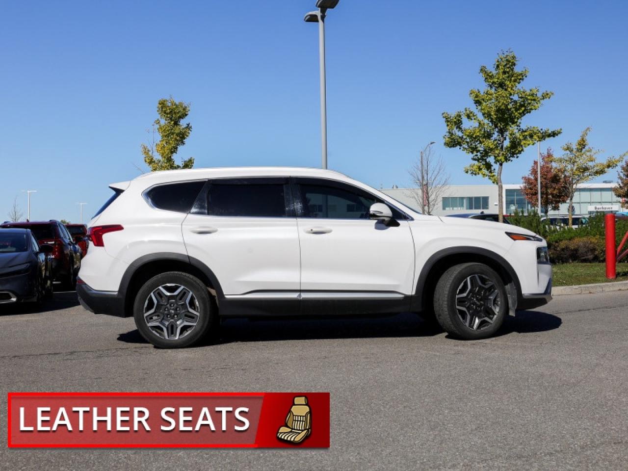 2021 Hyundai Santa Fe Hybrid Preferred AWD w/Trend Package  - $208 B/W Photo