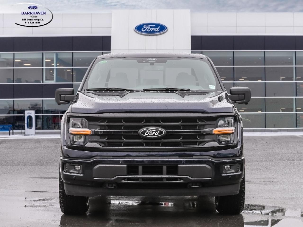 2025 Ford F-150 XLT Photo