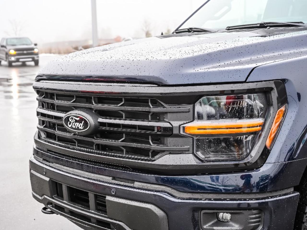 2025 Ford F-150 XLT Photo