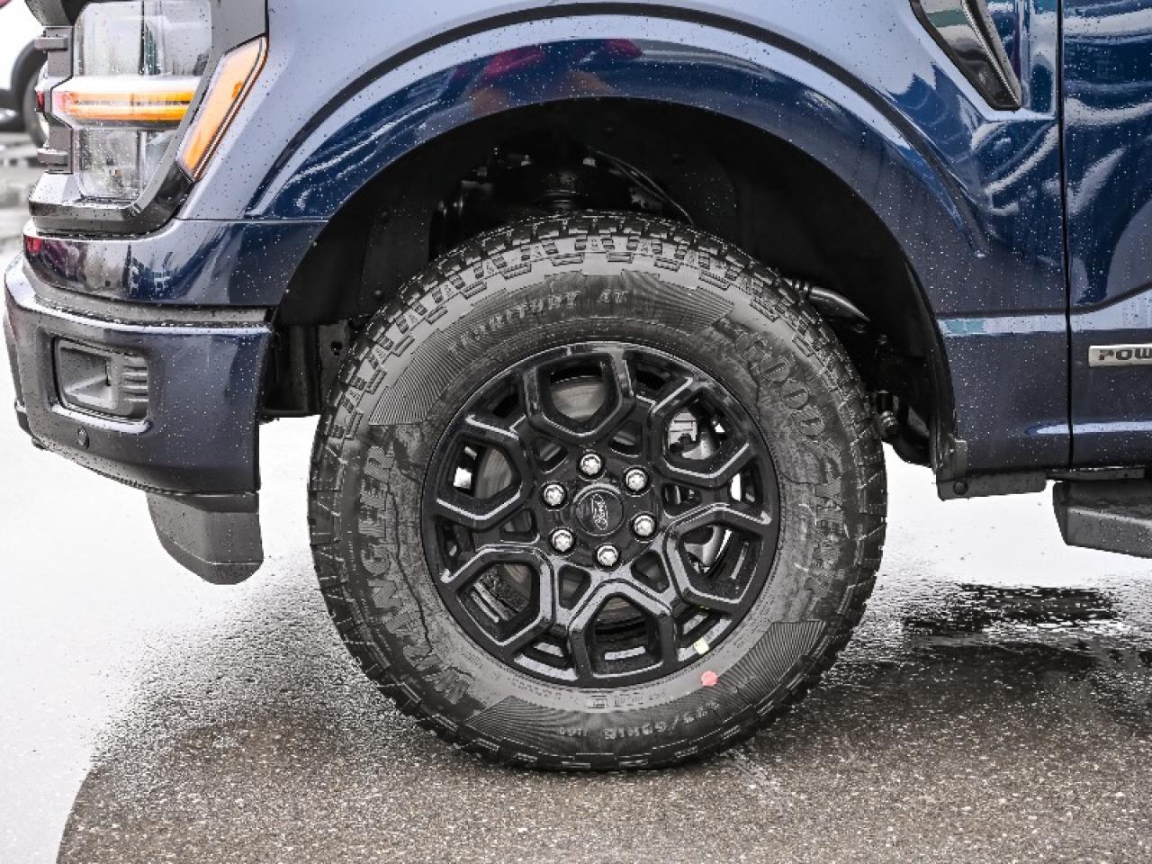 2025 Ford F-150 XLT Photo