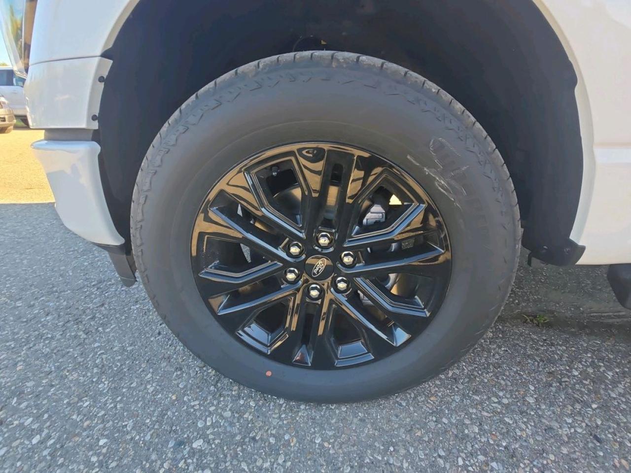 13027543