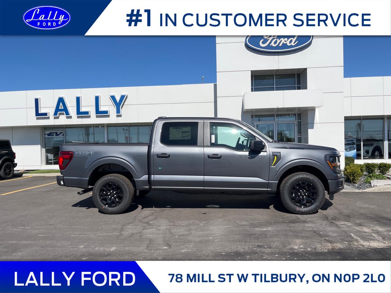 2025 Ford F-150 STX Photo