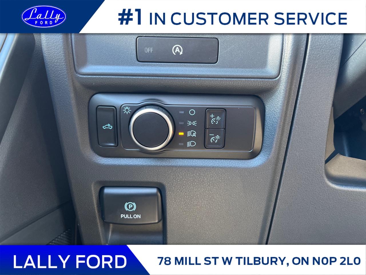 2025 Ford F-150 STX Photo