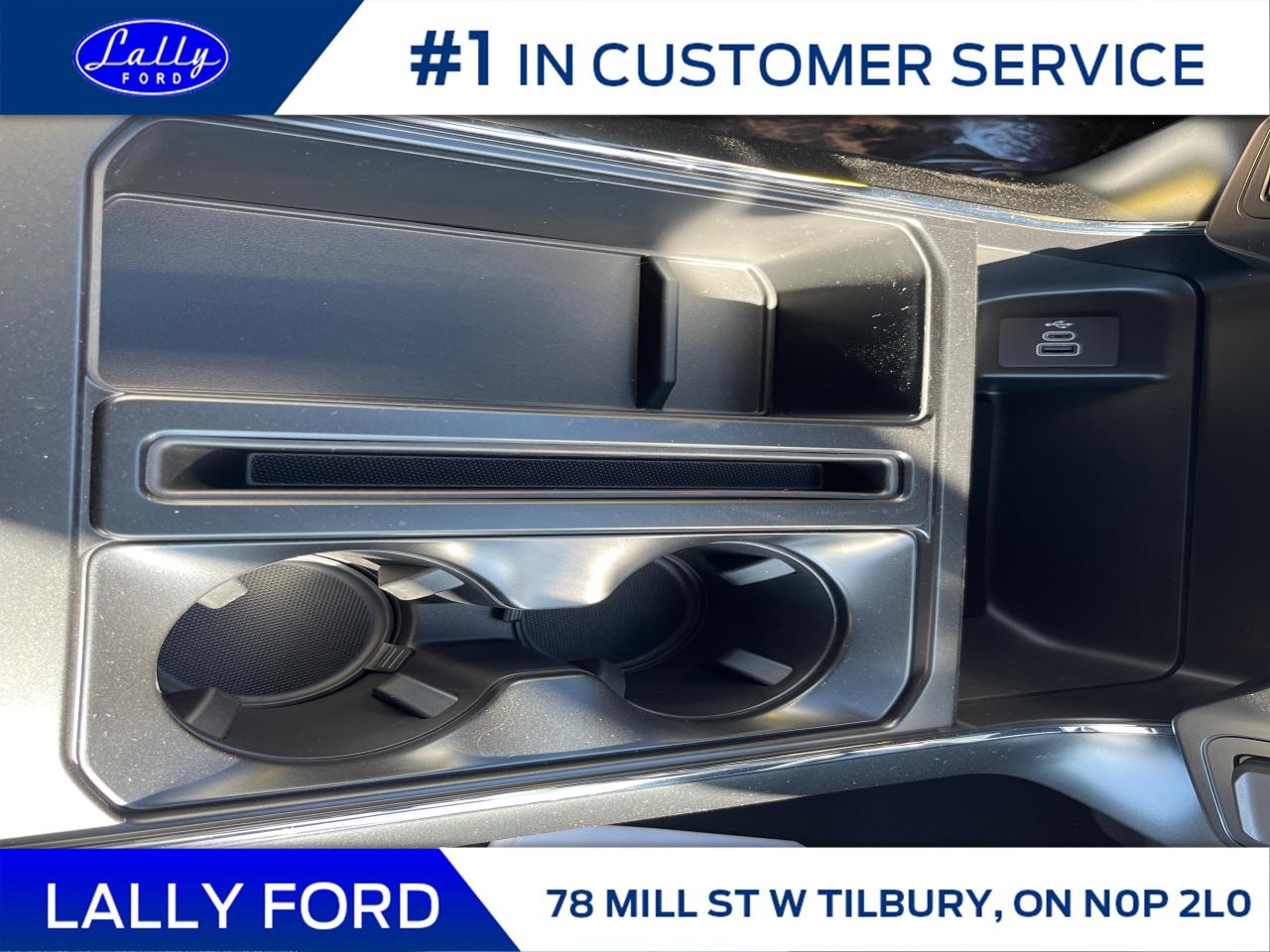 2025 Ford F-150 STX Photo