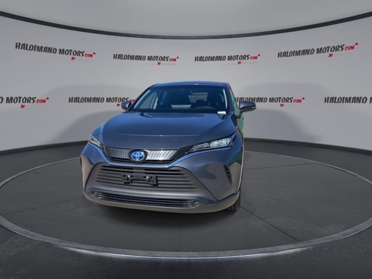 2023 Toyota Venza LE AWD Photo