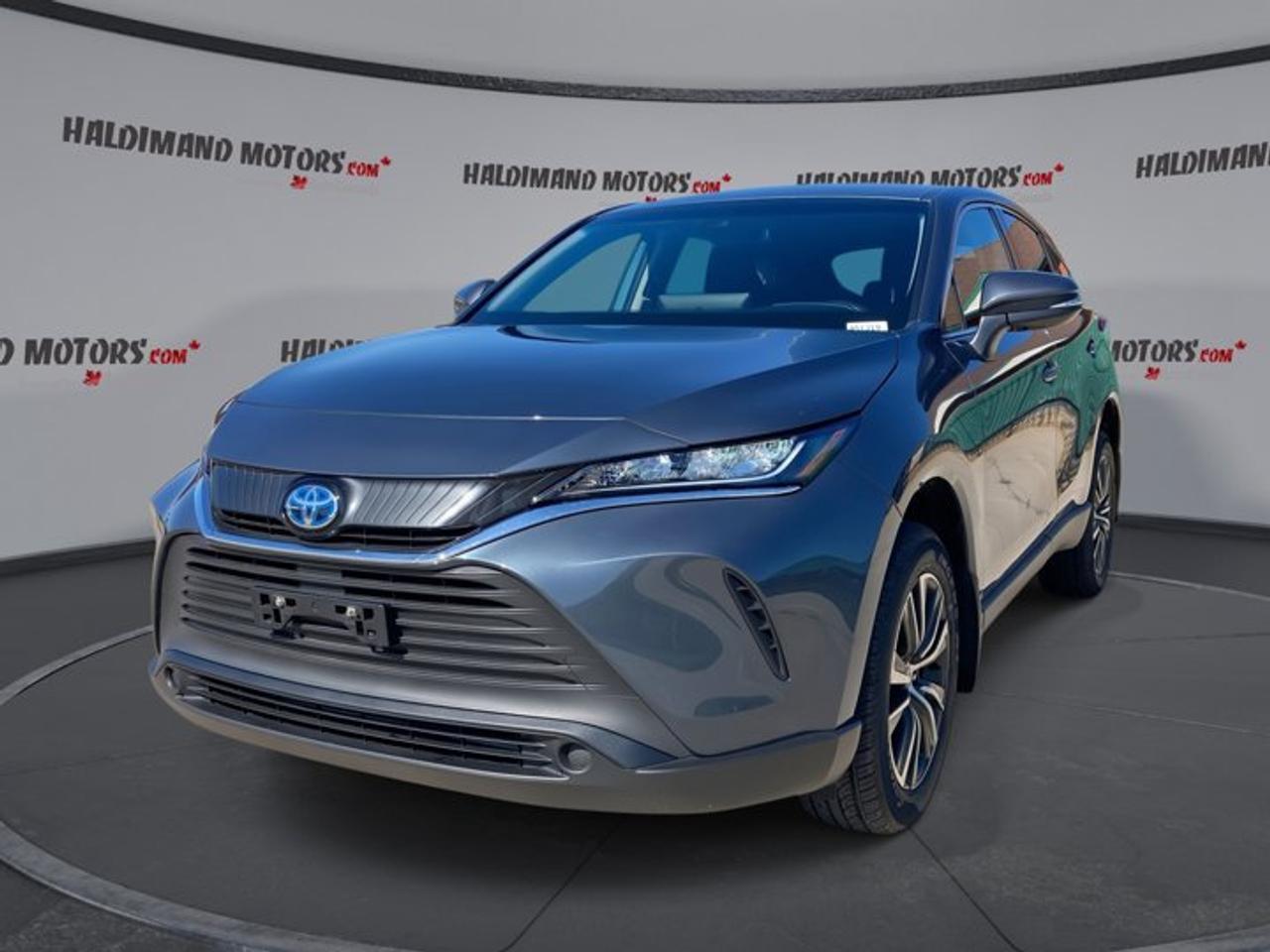 2023 Toyota Venza LE AWD Photo