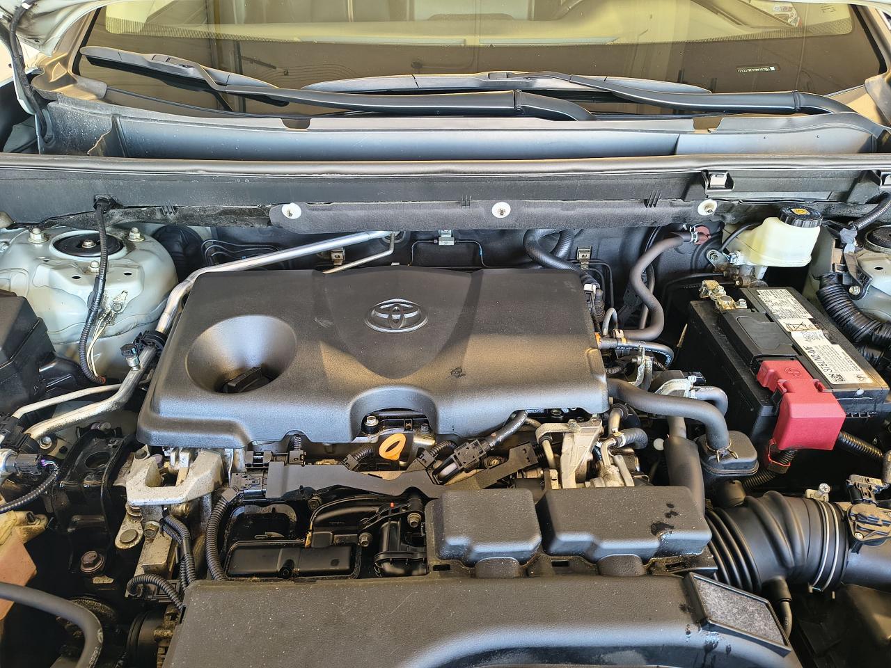 2021 Toyota RAV4 TRAIL Photo0