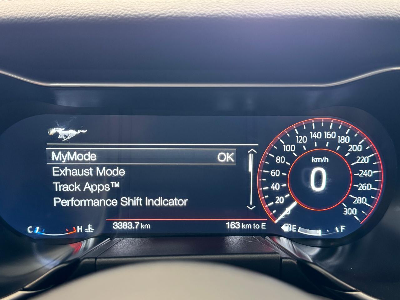 2022 Ford Mustang 5.0L V8 Mach 1 Fastback+6 Speed *ONLY 3000 KMS** - Photo #4