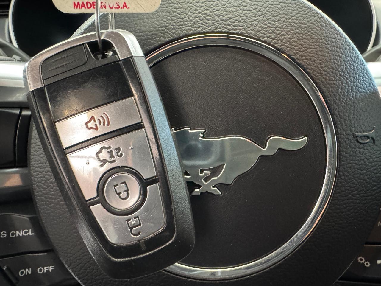 2022 Ford Mustang 5.0L V8 Mach 1 Fastback+6 Speed *ONLY 3000 KMS** - Photo #14